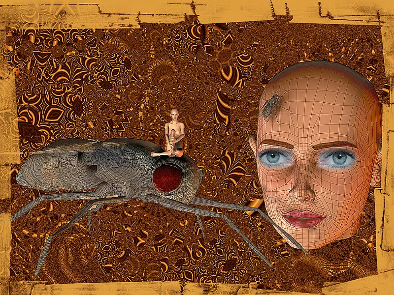 mosca-donne-marrone.jpg - Par Condicio 2003