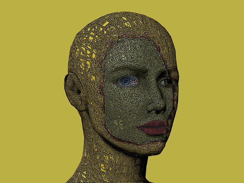 viso_elab0.jpg - Head 2004