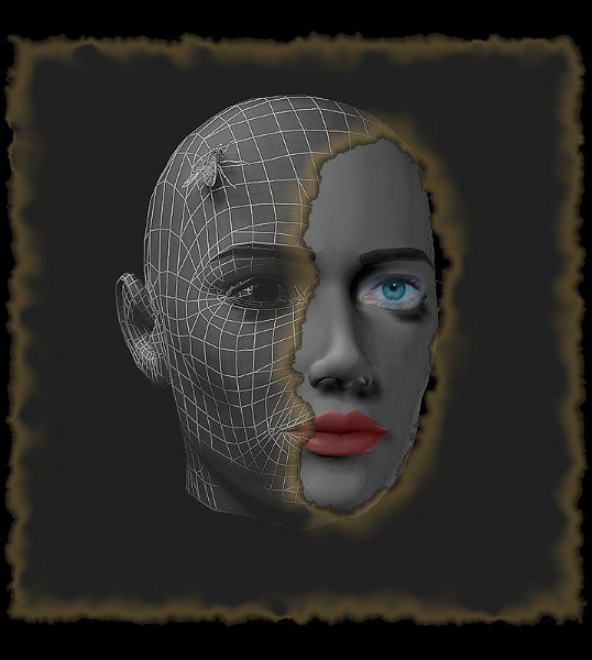 wire-rosso-mosca.jpg - Face with a fly 2006