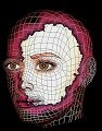 51WIREDONNA